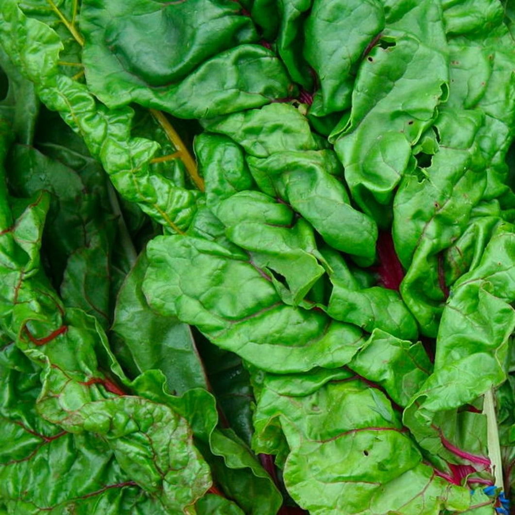 Heart Beat Organics Swiss Chard 150g
