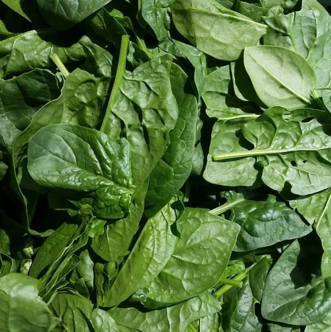 Heart Beet Organics Over-Wintered Spring Spinach 113g