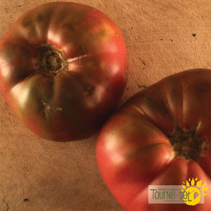 Tourne-Sol Organic Seeds Heirloom Cherokee Purple Tomatoes