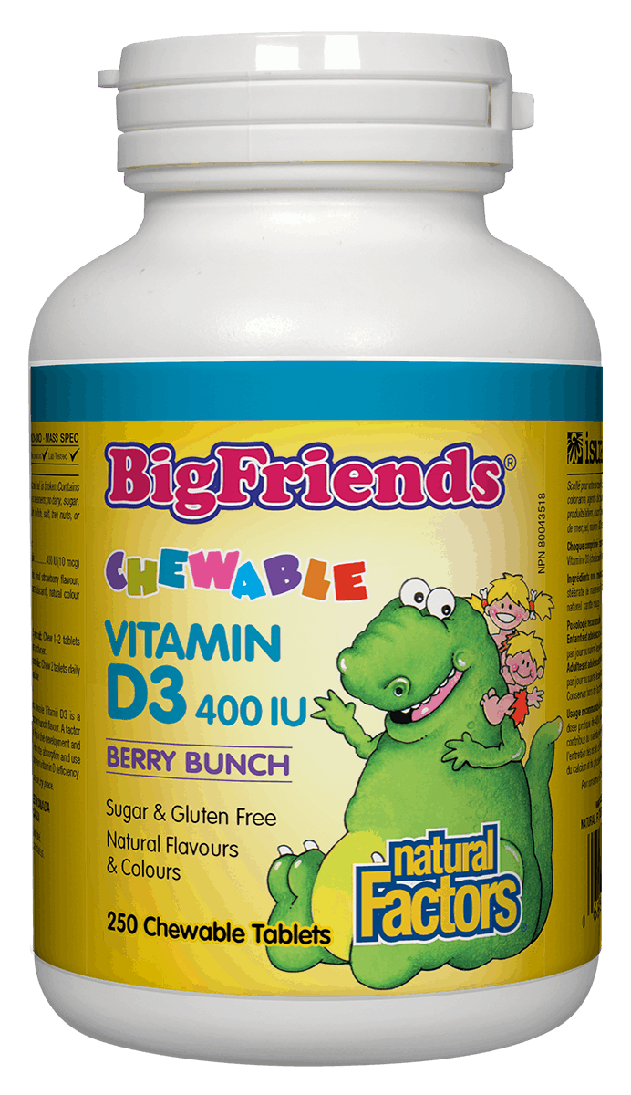 Natural Factors Big Friends Vitamin D 400 IU Berry Bunch Flavour 250 Chewable Tablets