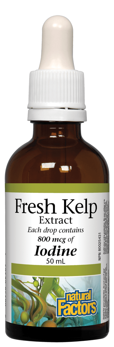 Natural Factors Liquid Kelp Iodine 800mcg 50ml