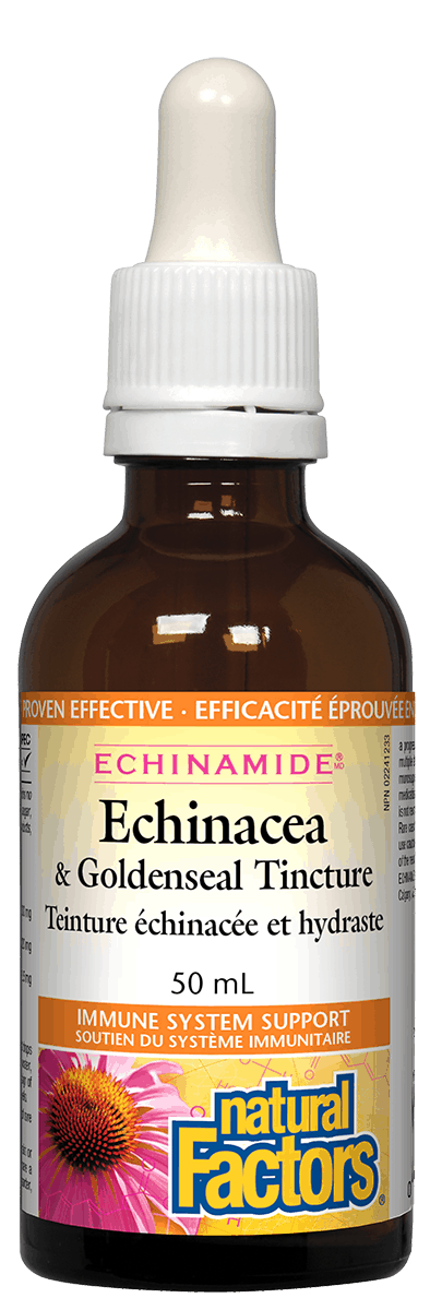 Natural Factors Echinamide Echinacea & Goldenseal Tincture 50ml