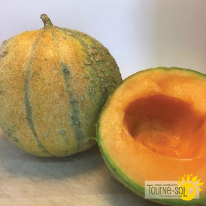 Tourne-Sol Organic Seeds Heirloom Petit Gris de Renne Melon