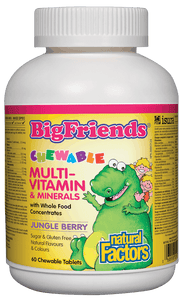 Natural Factors Big Friends Chewable Multivitamin and Minerals Jungle Berry Flavour 60 Chewable Tablets