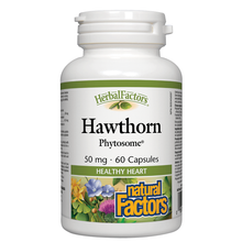 Load image into Gallery viewer, Natural Factors Hawthorn Extract 300mg 60 Capsules
