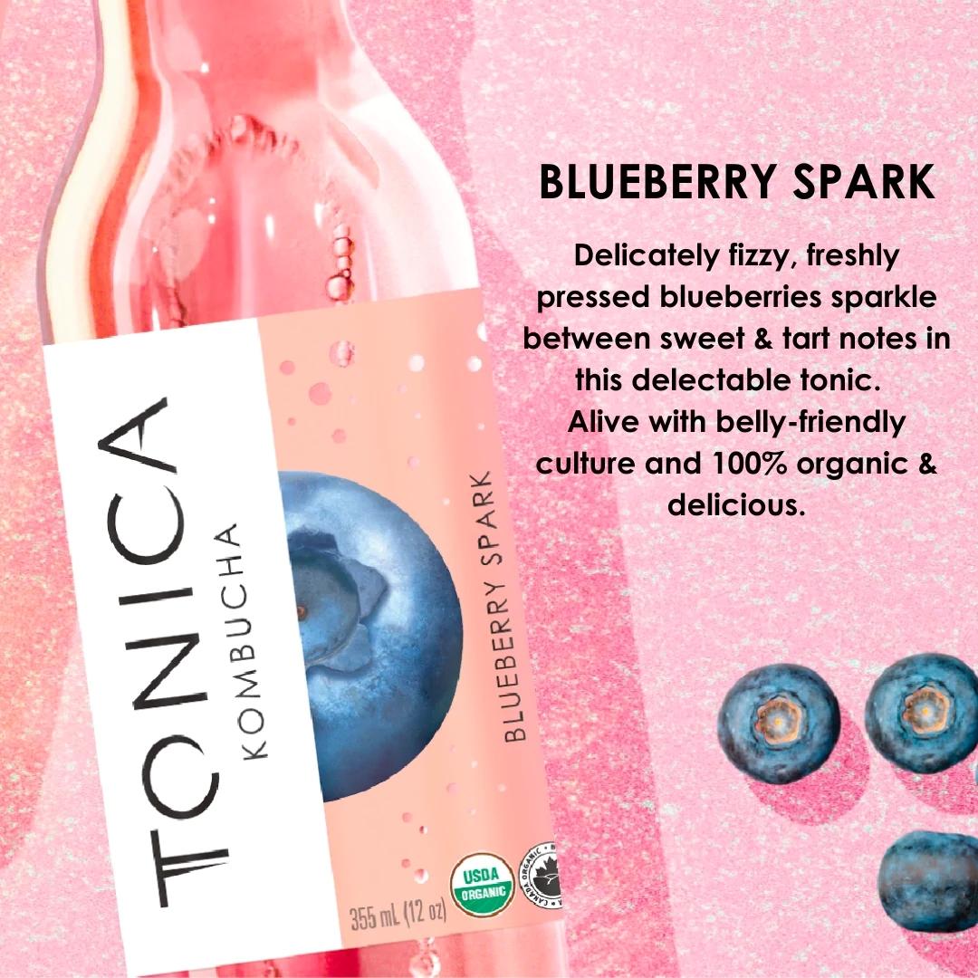 Tonica Blueberry Kombucha 355ml