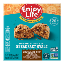 Load image into Gallery viewer, Enjoy Life Breakfast Ovals Banana Chocolate Chip 250g
