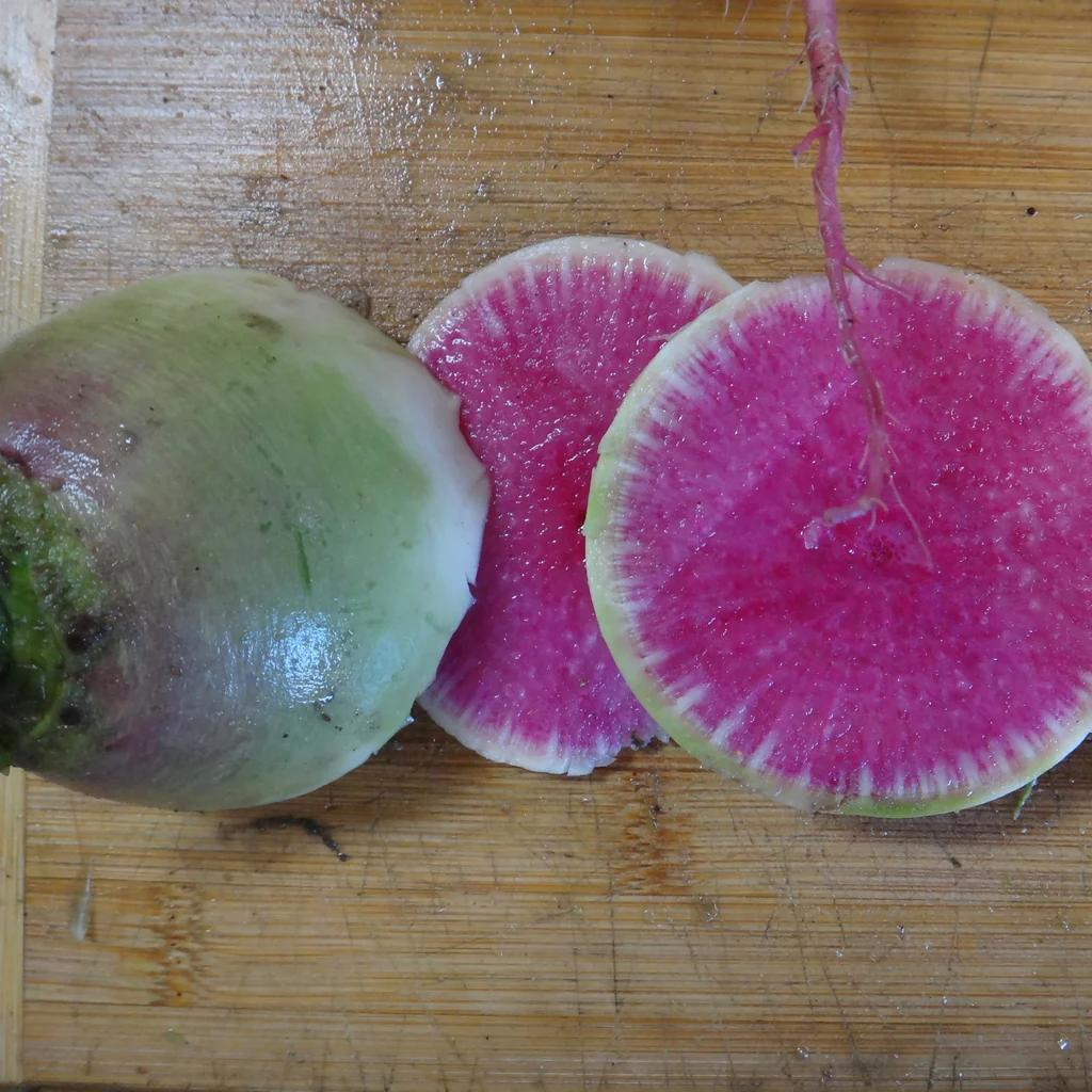 Tourne-Sol Organic Seeds Watermelon Radish