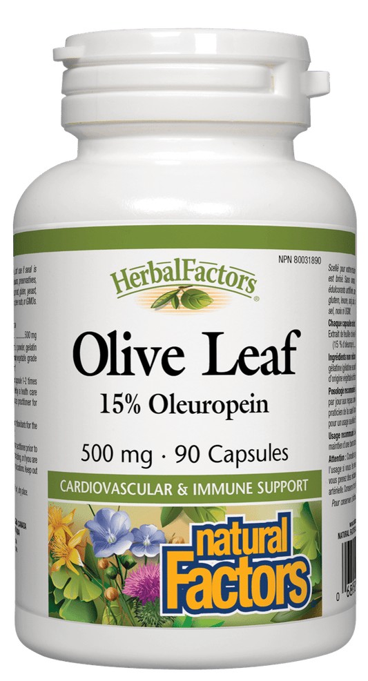 Natural Factors Olive Leaf 500mg 90 Capsules