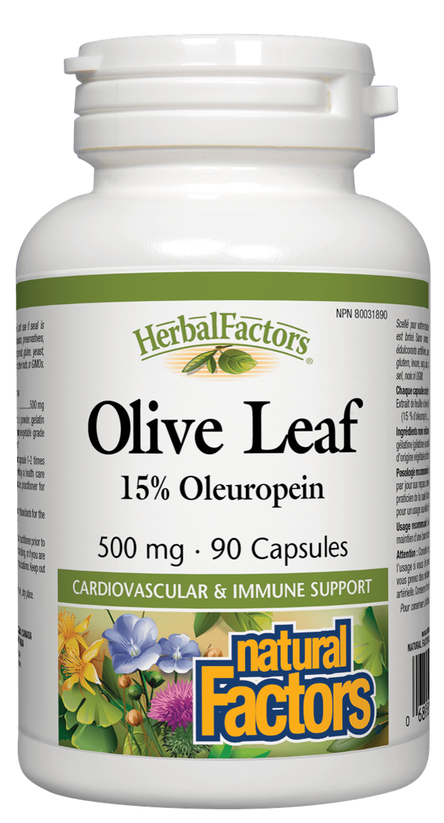 Natural Factors Olive Leaf 500mg 90 Capsules