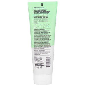 Acure Juice Cleanse Supergreens and Adaptogens Shampoo 237ml