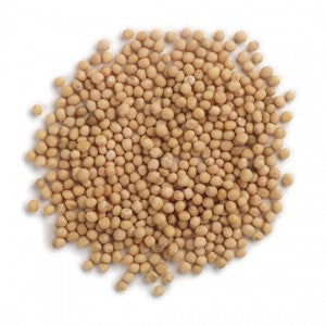 Mustard Yellow Whole Organic 50g Bag