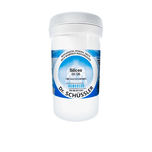 Schussler Silicea 6X 500tab
